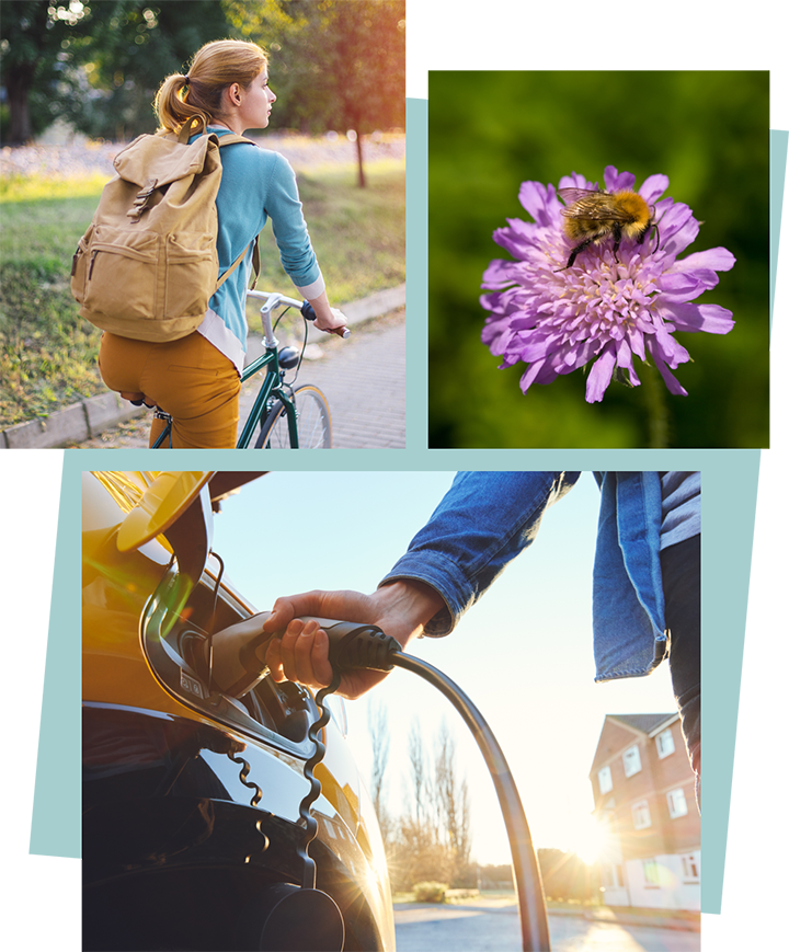 Collage of images showing the various benefits both proposals aim to deliver